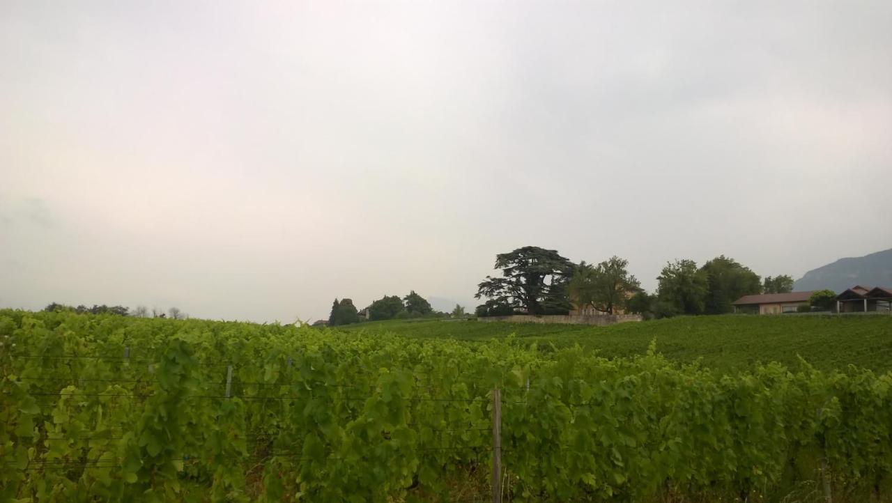 Les Marches Chateau La Violette المظهر الخارجي الصورة